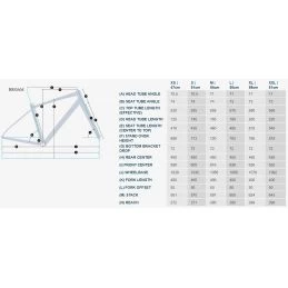 Felt Broam 40 4 Felt Broam 40 - Imagen 2