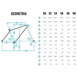 Marin Gestalt 4 Marin Gestalt - Imagen 2