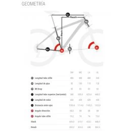 BH Ultimate EVO 9.5 6 BH Ultimate EVO 9.5 - Imagen 4
