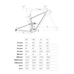 Conor WRC Dark 29er Carbon XT 12 Conor WRC Dark 29er Carbon XT - Imagen 10